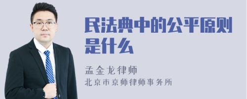 民法典中的公平原则是什么