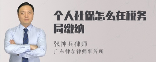 个人社保怎么在税务局缴纳