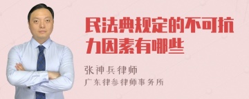 民法典规定的不可抗力因素有哪些