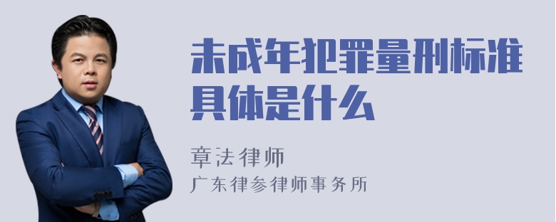 未成年犯罪量刑标准具体是什么