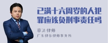 已满十六周岁的人犯罪应该负刑事责任吗