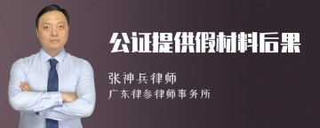 公证提供假材料后果