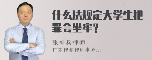 什么法规定大学生犯罪会坐牢？