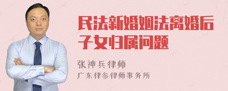 民法新婚姻法离婚后子女归属问题