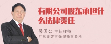 有限公司股东承担什么法律责任