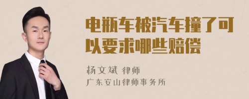 电瓶车被汽车撞了可以要求哪些赔偿