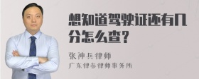 想知道驾驶证还有几分怎么查？