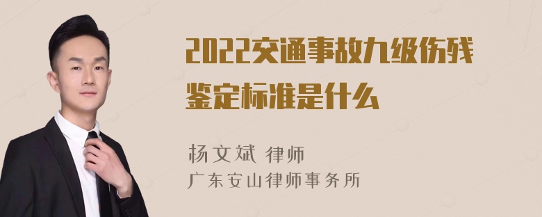 2022交通事故九级伤残鉴定标准是什么