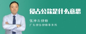 侵占公款是什么意思