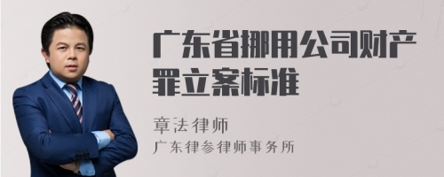 广东省挪用公司财产罪立案标准