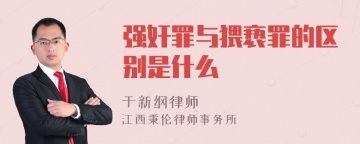 强奸罪与猥亵罪的区别是什么