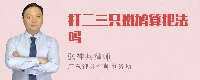 打二三只斑鸠算犯法吗