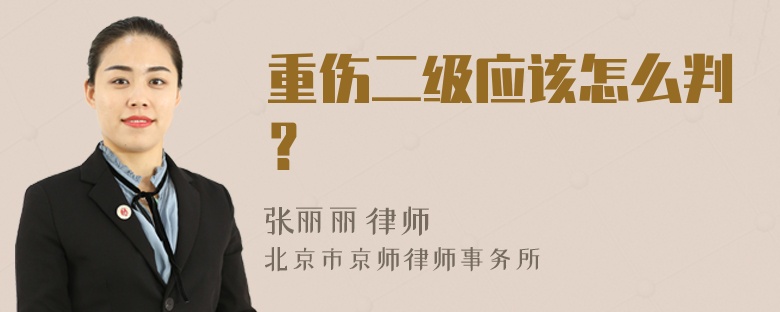 重伤二级应该怎么判？