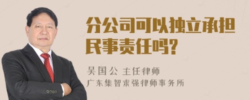 分公司可以独立承担民事责任吗?