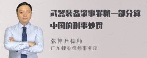 武器装备肇事罪就一部分算中国的刑事处罚