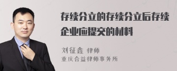 存续分立的存续分立后存续企业应提交的材料