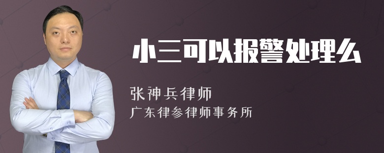 小三可以报警处理么