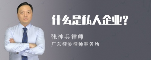 什么是私人企业？