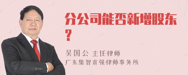 分公司能否新增股东？