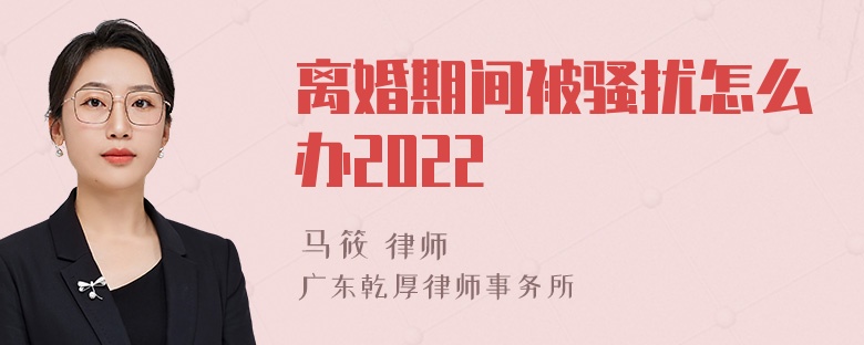 离婚期间被骚扰怎么办2022