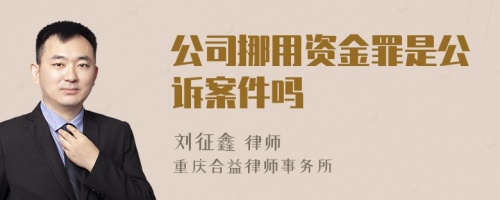 公司挪用资金罪是公诉案件吗