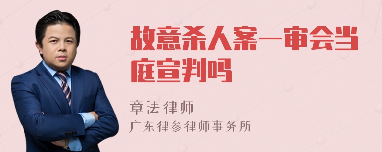 故意杀人案一审会当庭宣判吗