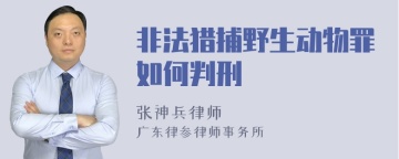 非法猎捕野生动物罪如何判刑