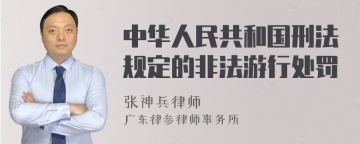 中华人民共和国刑法规定的非法游行处罚