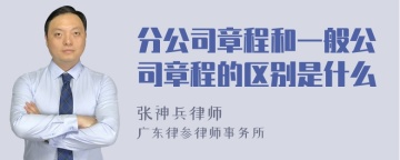 分公司章程和一般公司章程的区别是什么