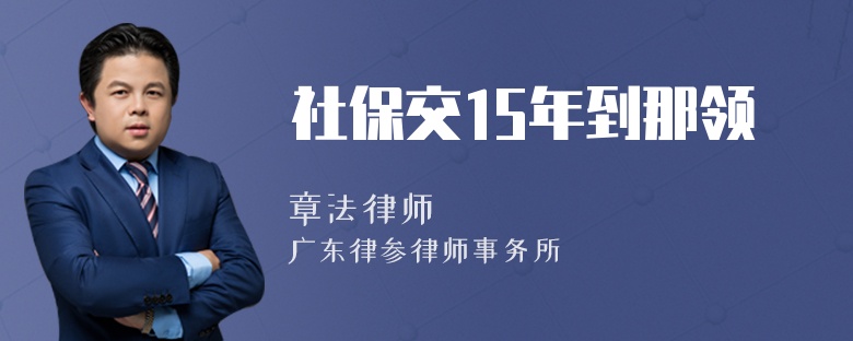 社保交15年到那领