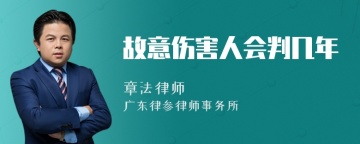 故意伤害人会判几年