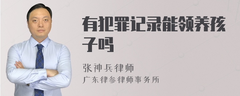有犯罪记录能领养孩子吗