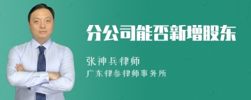 分公司能否新增股东