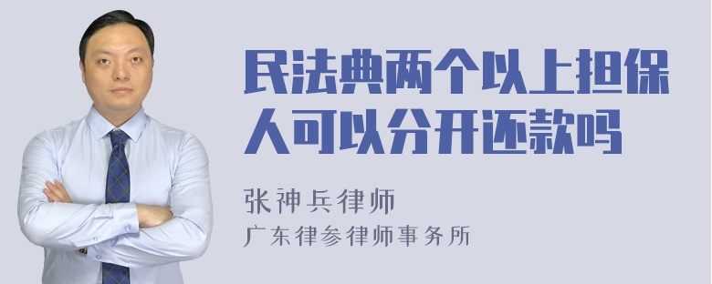 民法典两个以上担保人可以分开还款吗