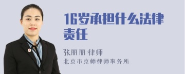 16岁承担什么法律责任