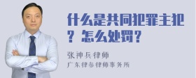 什么是共同犯罪主犯? 怎么处罚？