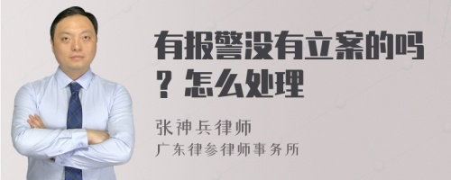 有报警没有立案的吗？怎么处理