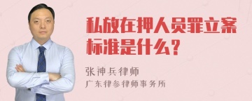 私放在押人员罪立案标准是什么？