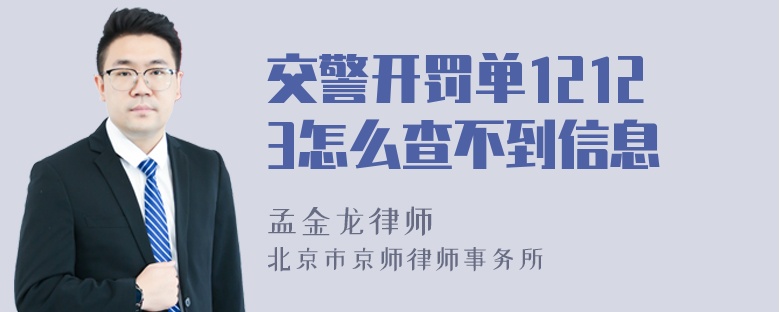 交警开罚单12123怎么查不到信息