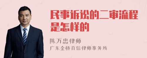 民事诉讼的二审流程是怎样的