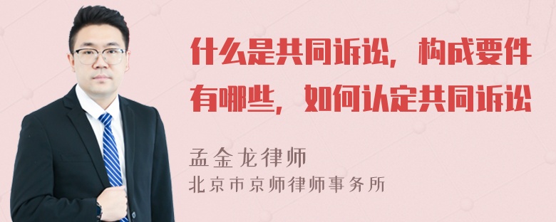 什么是共同诉讼，构成要件有哪些，如何认定共同诉讼