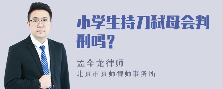 小学生持刀弑母会判刑吗？