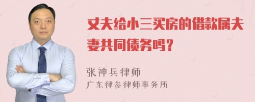 丈夫给小三买房的借款属夫妻共同债务吗？