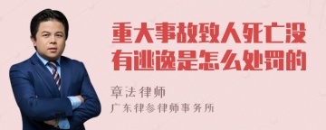 重大事故致人死亡没有逃逸是怎么处罚的