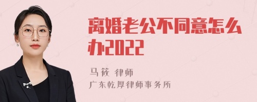 离婚老公不同意怎么办2022