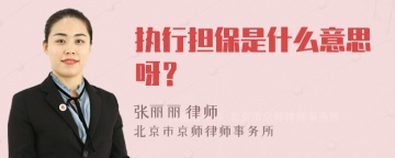 执行担保是什么意思呀？