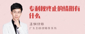 专利权终止的情形有什么