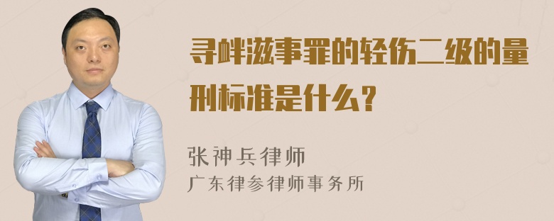 寻衅滋事罪的轻伤二级的量刑标准是什么？