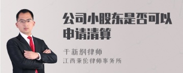 公司小股东是否可以申请清算