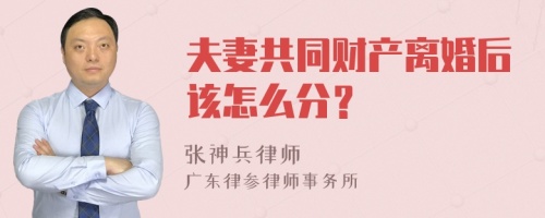 夫妻共同财产离婚后该怎么分？